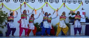 Read more about the article Bollywood By the Beach raises $56,500