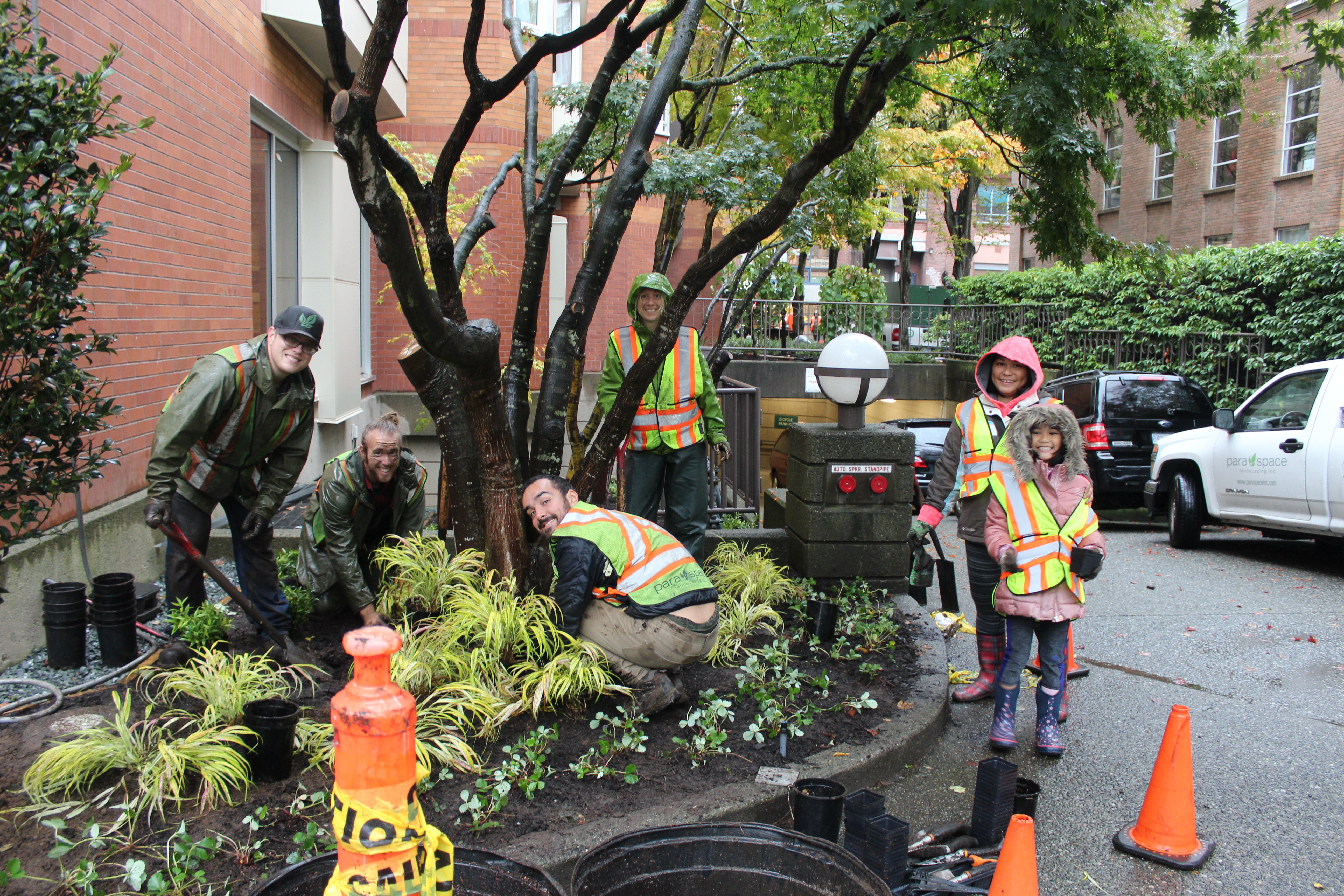 You are currently viewing Thank you Para Space Landscaping.